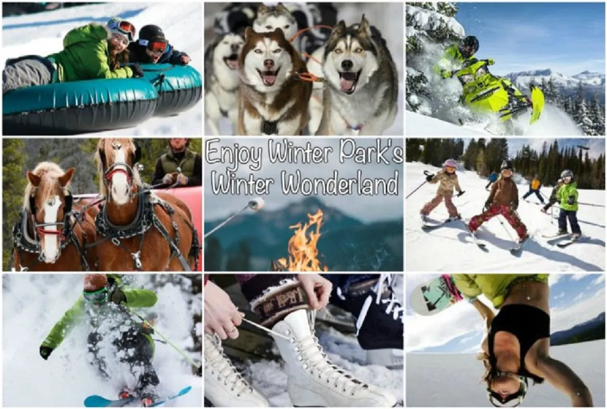 A lively winter scene featuring people snow tubing down white hills, huskies pulling sleds, snowboarders mid-action, a fire pit gathering, and children playing in the snow. The image radiates excitement and the spirit of group adventure.